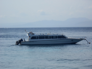 Book Mola-Mola Express Sanur to Buyuk Pier - Fast Boat Crossing