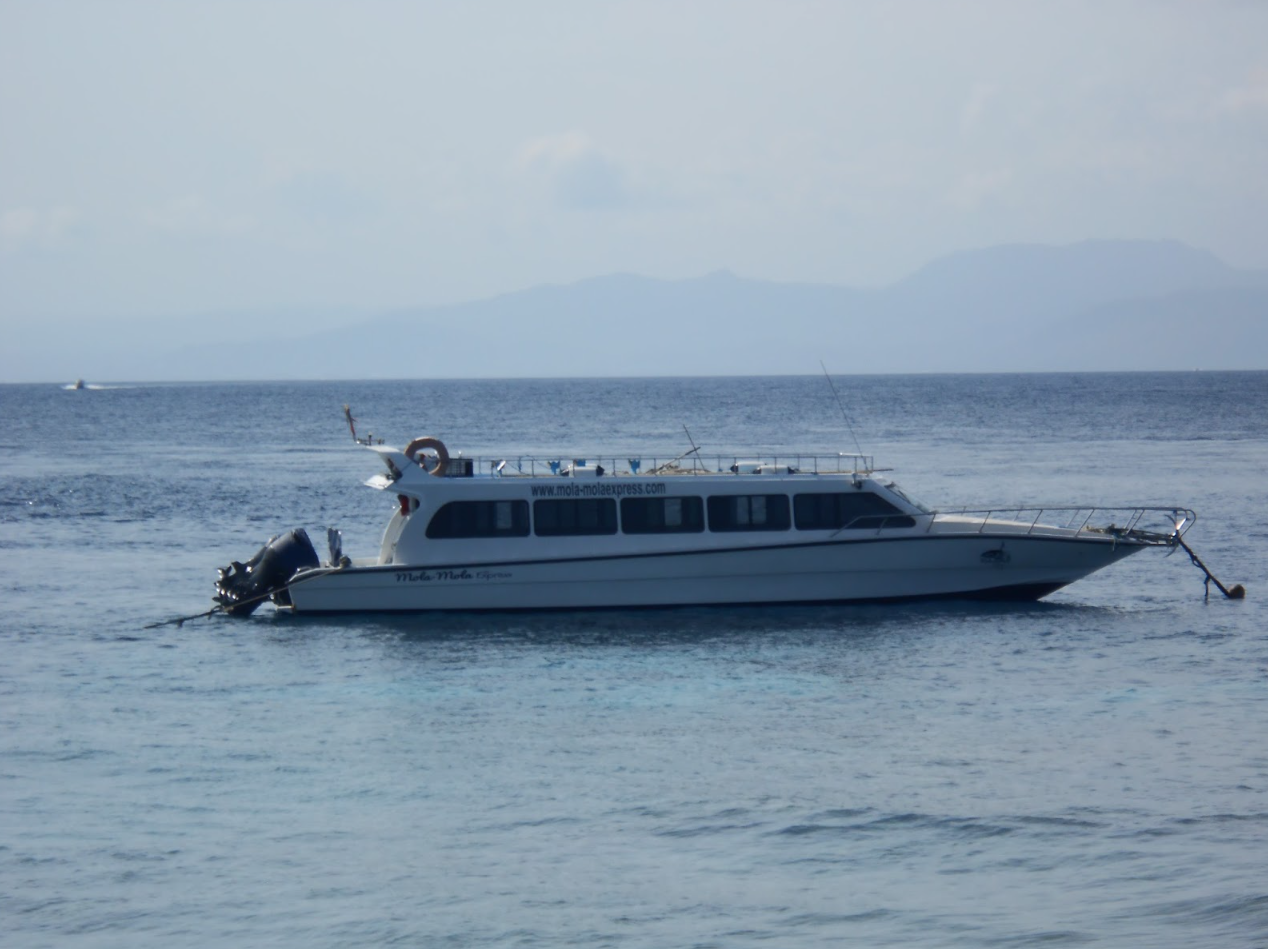 Book Mola-Mola Express Sanur to Buyuk Pier - Fast Boat Crossing