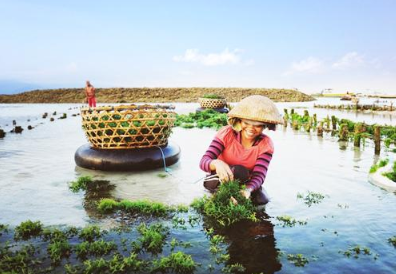 Book Nusa Penida 2 Days 1 Night Tour Package All-Inclusive - Diamond Beach View