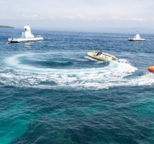 Book Nusa Penida Land Tour and Water Activity Package 2026 - Kelingking Beach View