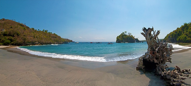 Book Nusa Penida One Day Tour from Lembongan - Kelingking Beach View