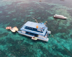 Book Nusa Penida Sea Walker and Lembongan Tour 2026