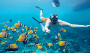 Book Nusa Penida Snorkeling Private Trip from Lembongan - Manta Ray Encounter