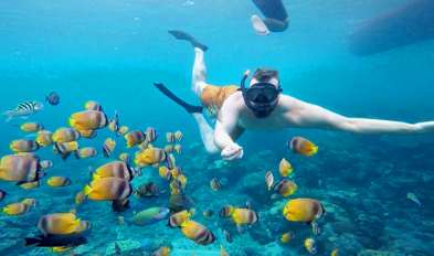 Book Nusa Penida Snorkeling Private Trip from Lembongan - Manta Ray Encounter