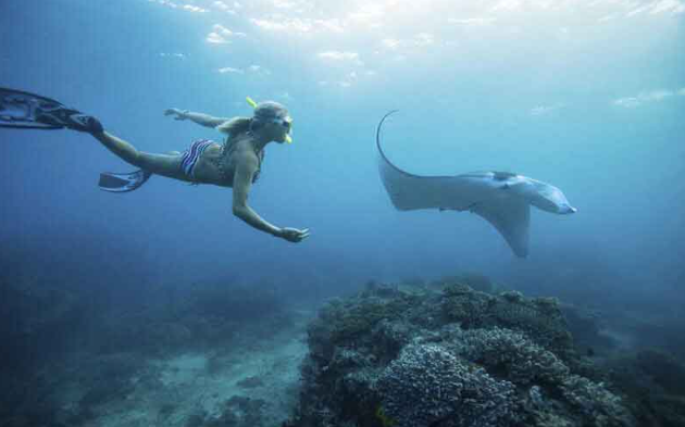 Book Nusa Penida Snorkeling Private Trip from Lembongan - Manta Ray Encounter