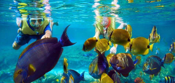 Book Nusa Penida Snorkeling Private Trip from Lembongan - Manta Ray Encounter