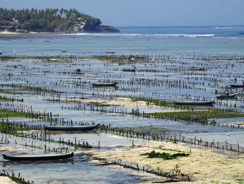 Book Private Nusa Lembongan Island Tour from Bali