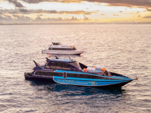 Book Sgening Diamond Fast Boat Sanur to Gili | Official S'gening Diamond Gili and Lombok booking 1 Book Sgening Diamond Fast Boat Sanur to Gili - 2026 Safety Gear