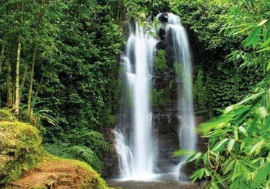 Book Tamblingan Lake Jungle Trekking and Canoe - Traditional Bali Adventure