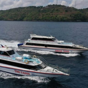 Book Tanis Fast Cruise Sanur to Mushroom Bay