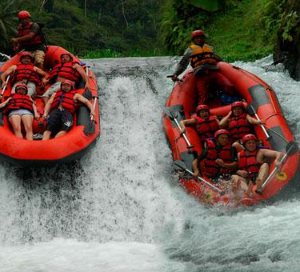 Book Telaga Waja Rafting Bali 2026 All-Inclusive - Waterfall Challenge