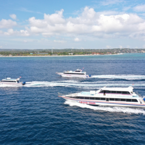 Book The Tanis Fast Cruise Sanur to Gili - Grand Tanis 2026