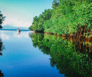 Book Three Islands Snorkeling Lembongan from Bali - Manta Bay Tour