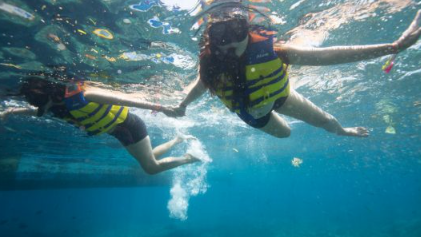 Book Three Islands Snorkeling Lembongan from Bali - Manta Bay Tour