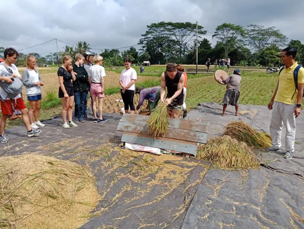 Book Ubud Rice Paddy Walking Tour - Authentic Balinese Culture