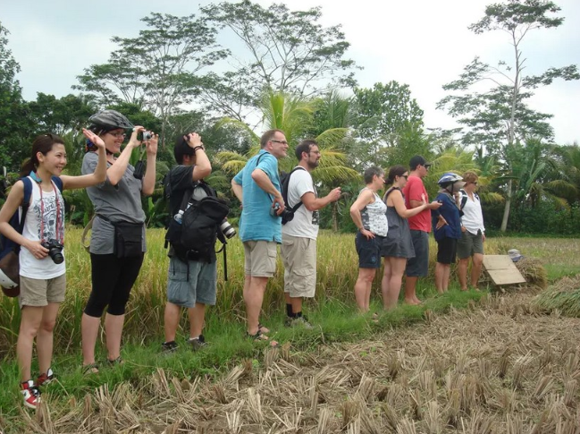 Book Ubud Rice Paddy Walking Tour - Authentic Balinese Culture