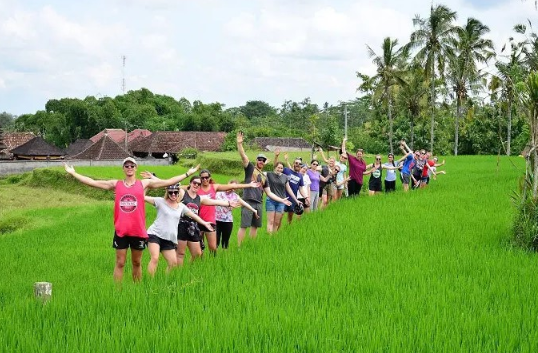 Book Ubud Rice Paddy Walking Tour - Authentic Balinese Culture