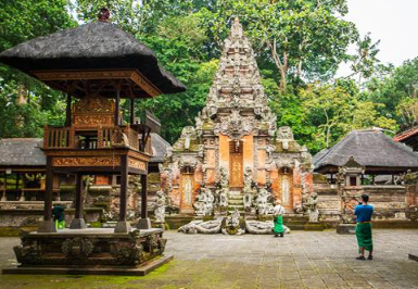 Book Ubud and Tegalalang Rice Terrace tour online Instagram spots