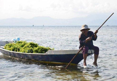Book Waka Sailing Catamaran Lembongan tour luxury day trip