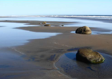 Book West Bali National Park tour online showing rare Bali Starling bird