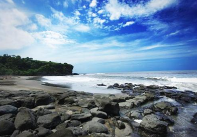 Book West Bali National Park tour online showing rare Bali Starling bird
