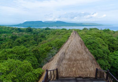 Book West Bali National Park tour online showing rare Bali Starling bird