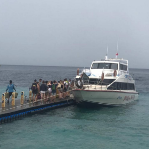 Book Wijaya Buyuk Fast Boat Sanur to Gili | Official Wijaya Buyuk schedule and booking 1 Book Wijaya Buyuk Fast Boat Sanur to Gili - 1800HP Vessel