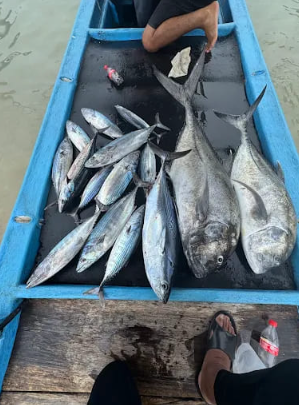 Book private fishing boat Padang Bai Bali Arfis Fishing Charter