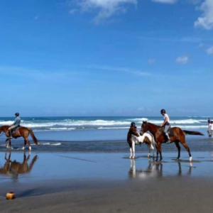 Canggu horse riding price 2025 sunset beach tour