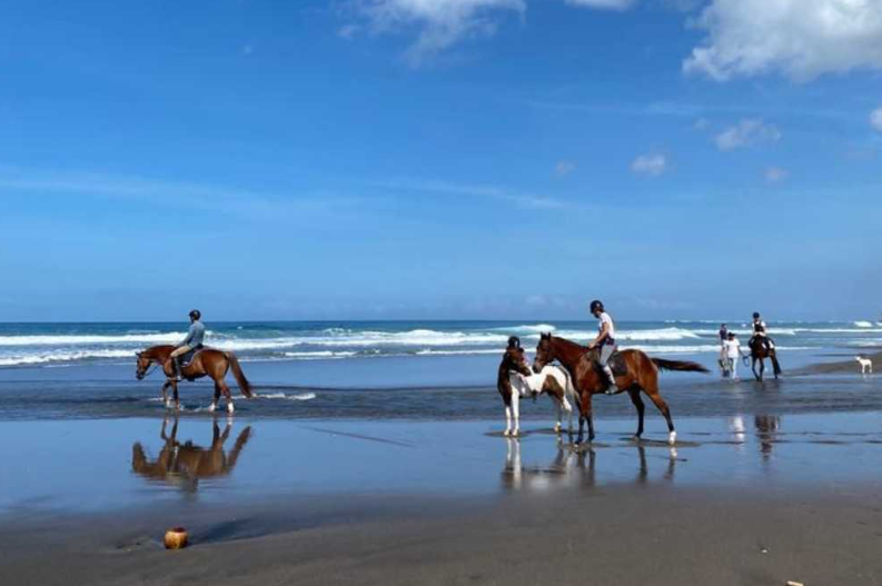 Canggu horse riding price 2025 sunset beach tour