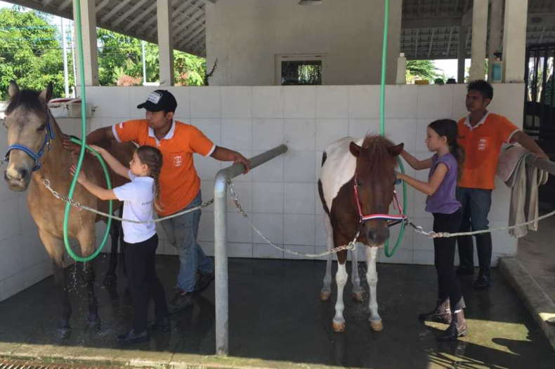 Canggu horse riding price 2025 sunset beach tour