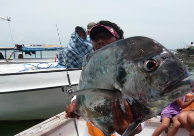 Dewi Ocean Bali fishing price 2025 2026 marlin catch.