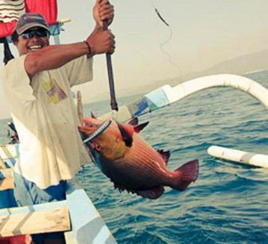 East Bali fishing charter price 2025/2026