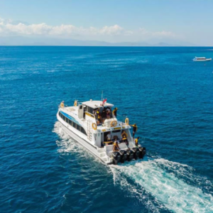 El Rey Fast Cruise ticket price 2025/2026