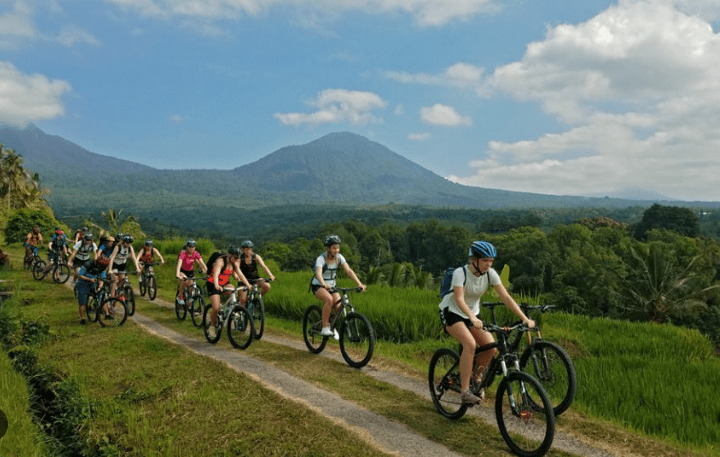 Kintamani downhill cycling tour price volcano view