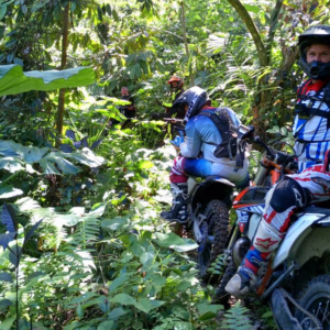 Kintamani forest dirt bike tour price pine trees
