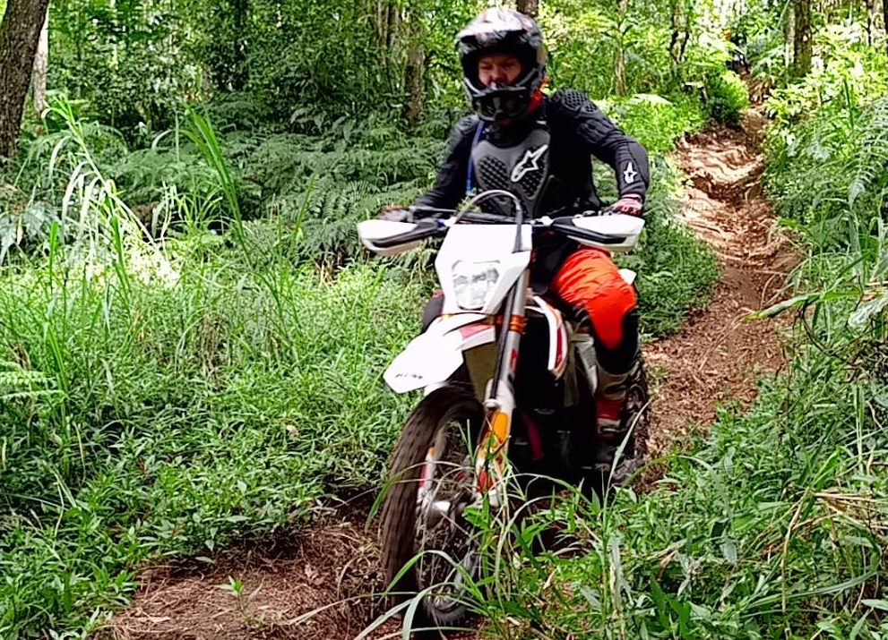 Kintamani forest dirt bike tour price pine trees 4 Kintamani forest dirt bike tour price pine trees
