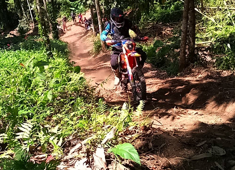 Kintamani forest dirt bike tour price pine trees 5 Kintamani forest dirt bike tour price pine trees
