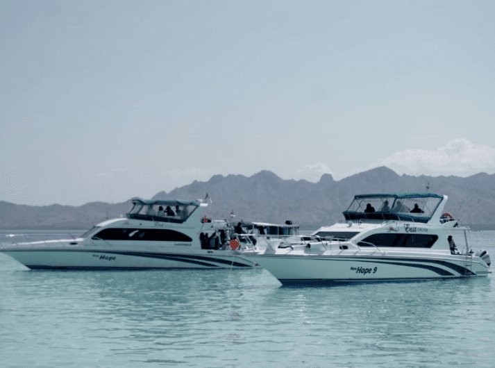 Komodo speedboat day trip price 2025 2026 itinerary highlights