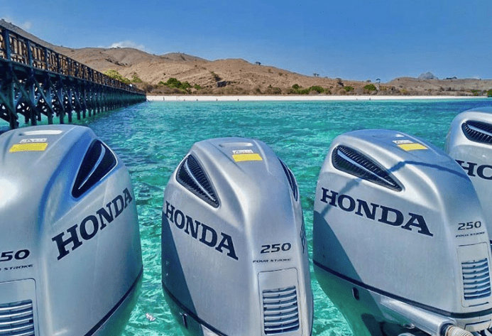 Komodo speedboat day trip price 2025 2026 itinerary highlights