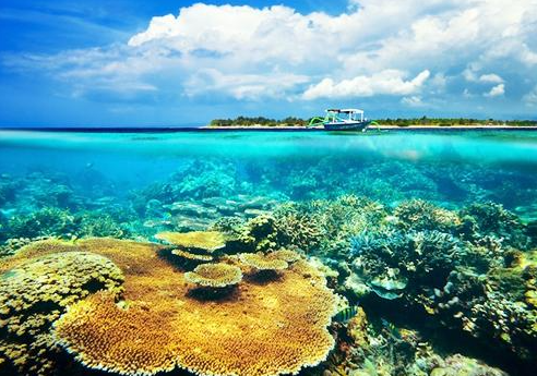 Lombok snorkeling tour package 4 days Gili Nanggu