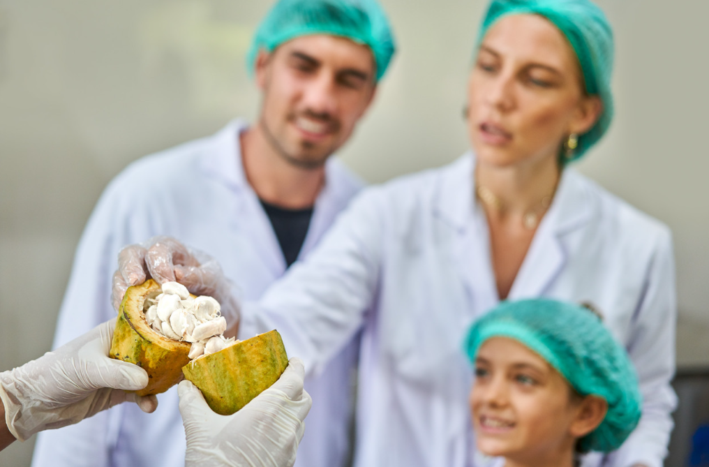 Mason Chocolate Experience Tour price 2025 workshop