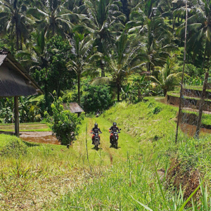 Mount Batukaru dirt bike adventure waterfall track