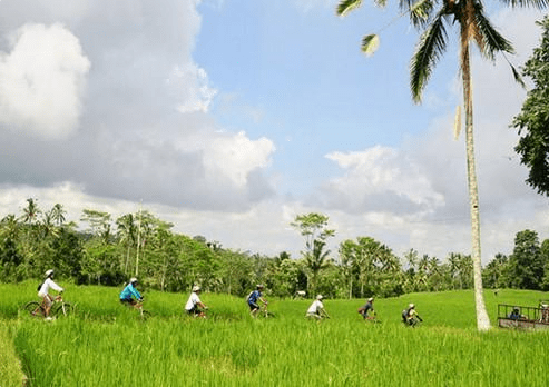 Mount Batur downhill cycling price Sobek tour