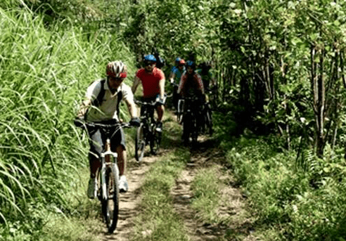 Mount Batur downhill cycling price Sobek tour