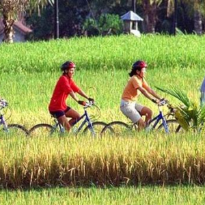 Mount Batur downhill cycling price Sobek tour