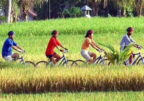 Mount Batur downhill cycling price Sobek tour