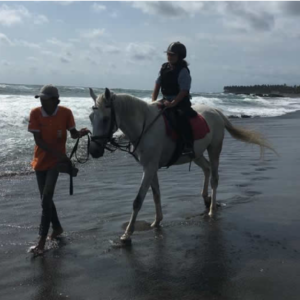 Royal Sporthorse Bali price list 2025 beach tour