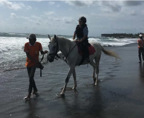 Royal Sporthorse Bali price list 2025 beach tour 1 Royal Sporthorse Bali price list 2025 beach tour