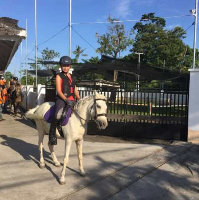 Royal Sporthorse Bali price list 2025 beach tour 2 Royal Sporthorse Bali price list 2025 beach tour